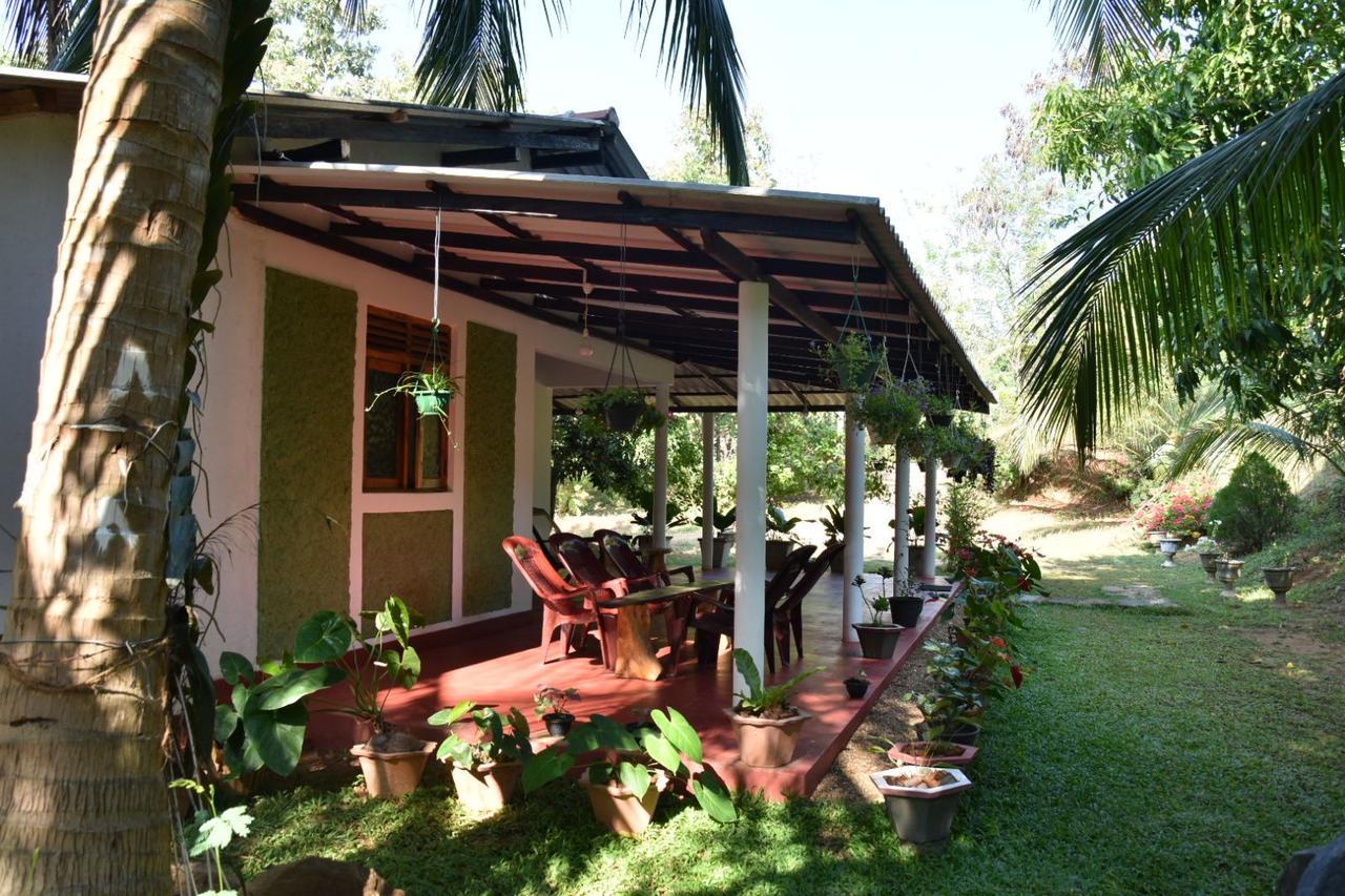 Brookline Safari Resort Udawalawe Exterior photo