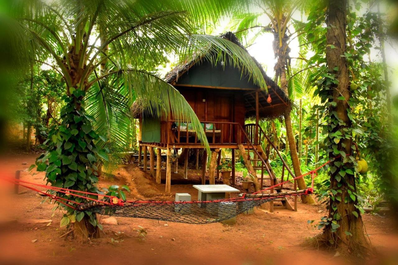 Brookline Safari Resort Udawalawe Exterior photo